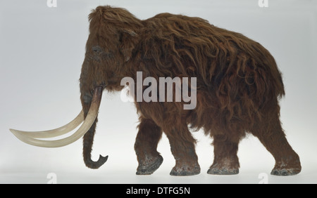 Modell der Ilford-Mammut Stockfoto