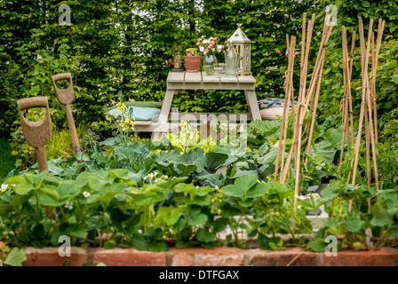 Erdbeere und Kohl Pflanzen wachsen in kleinen einheimischen Küche-Garten Stockfoto