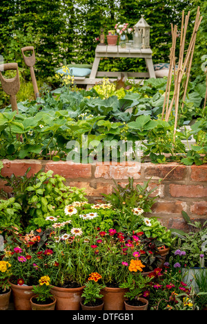 Erdbeere und Kohl Pflanzen wachsen in kleinen einheimischen Küche-Garten Stockfoto