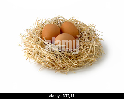 Eiern im nest Stockfoto