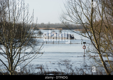 OXFORDSHIRE, VEREINIGTES KÖNIGREICH. Überschwemmte Felder beiderseits der Themse bei Swinford in der Nähe von Eynsham. Februar 2014. Stockfoto