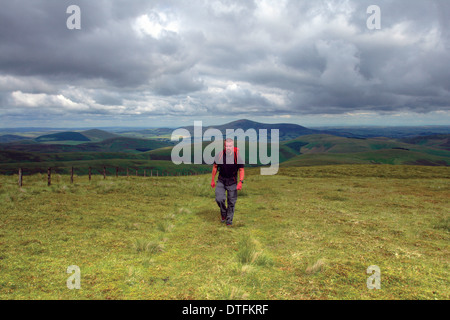 Ein Wanderer auf dem Gipfel des Hudderstone mit Blick auf Tinto Hill und Clyde Valley, South Lanarkshire Stockfoto