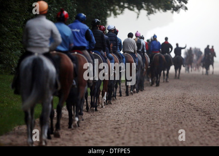 Chantilly, Frankreich, Reiter und Pferde bei der Fahrt in den Morgen Stockfoto