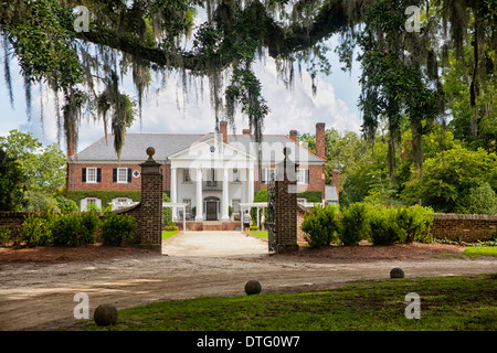 Boone Hall Plantation und spanischem Moos an Eichen Baum hängen. Stockfoto