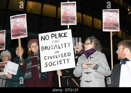 Rathaus, London, UK, 17. Februar 2014. Jenny Jones, Green Party London Ratsmitglied (zweiter von rechts) spricht, wie Demonstranten sammeln außerhalb Rathaus um eine Metropolitan Police-Anforderung zu erwerben und verwenden Wasserwerfer für Instanzen von Unruhen zu protestieren. Die Kundgebung wurde von Dietrich Wagner, Pensionär, geblendet von einem Wasserwerfer in einem Umwelt-Protest in Deutschland besucht. Eine Petition gegen den Einsatz von Wasserwerfern, unterzeichnet von mehr als 35.000 präsentierte sich auf der offiziellen öffentlichen Sitzung im Rathaus. Bildnachweis: Patricia Phillips/Alamy Live-Nachrichten Stockfoto