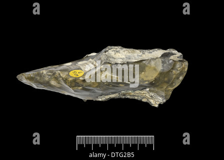 Flint Faustkeil Stockfoto