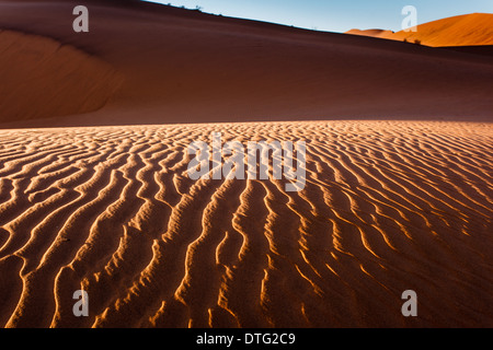 Wüstendünen, die von Wind verweht werden, während der Tag auf fernen Dünen in der schlafenden Wüste des Naukluft-Nationalparks, Namibia, bricht. Stockfoto