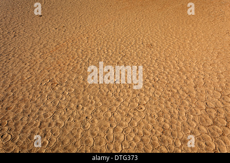 Trockene rissige Wüste Schlamm Muster durch Salz aus alten See im Namib-Naukluft Nationalpark weiß gefärbt Stockfoto