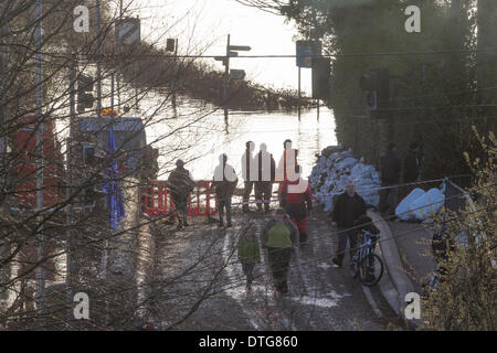 Burrowbridge, Somerset, Großbritannien um 16:30 Uhr am 16. Februar 2014.  Die A361 am Burrowbridge wurde vom Hochwasser seit vor Weihnachten ohne Anzeichen der bevorstehenden Erleichterung geschlossen. Bildnachweis: Living Ebenen Fotografie/Alamy Live-Nachrichten Stockfoto