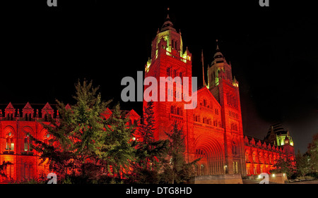 Das Naturhistorische Museum beleuchtet in der Nacht, Oktober 2011 Stockfoto