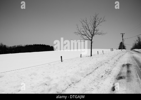 Ein schwarz-weiß Bild von einem einsamen Baum gegen einen Schnee bedeckt Feld und Straße im Winter in Connecticut. Stockfoto