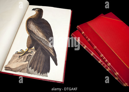 Gedruckte und gebundene Kopie von The Birds of America von Audubon. Stockfoto