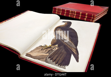 Gedruckte und gebundene Kopie von The Birds of America von Audubon. Stockfoto