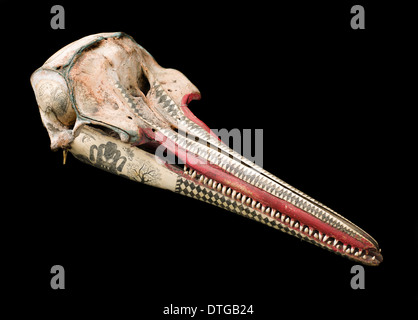 Grob-gezahnte Delphin Schädel mit Tinte Scrimshaw Dekoration Stockfoto