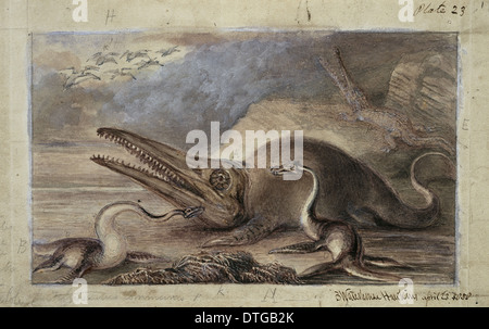 Ichthyosaurus, Plesiosaurus Stockfoto