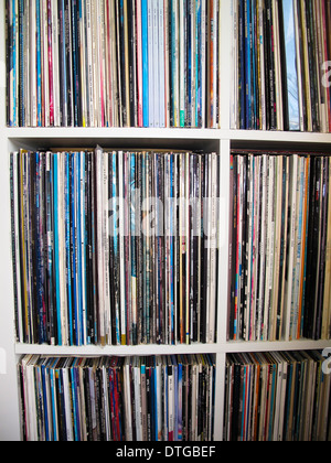 LP Vinyl Plattensammlung in Regalen Stockfoto