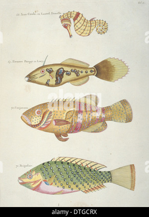 Farbige Darstellung der drei Fische und Seepferdchen Stockfoto