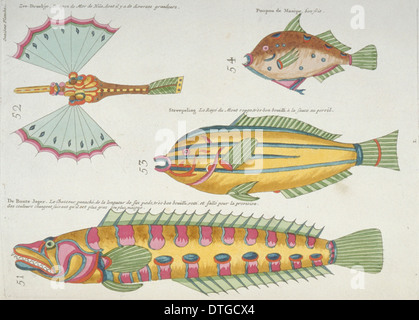 Farbige Darstellung der vier Fische Stockfoto