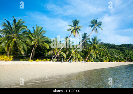 Ein tropischen Urlaub Resort Strand gesäumt von Palmen und weißer Sand ist ideal für Familien Kurzurlaube. Stockfoto