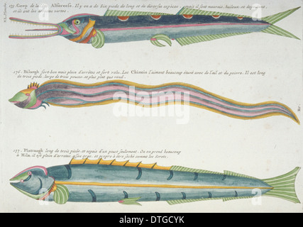 Bunte Illustration von zwei Fische und ein Aal Stockfoto
