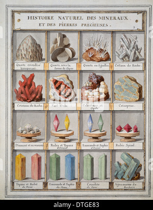 Platte 3a aus Histoire Naturelle? (1789) von Swebach Desfontaines Stockfoto