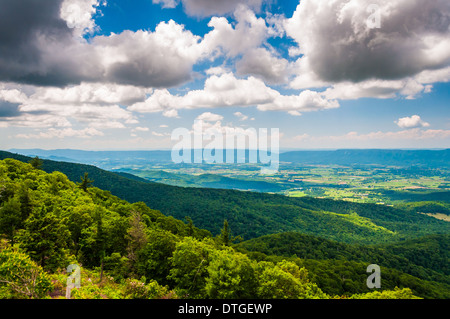 Blick auf das Shenandoah-Tal von einem Aussichtspunkt auf Skyline Drive im Shenandoah-Nationalpark, Virginia. Stockfoto