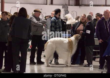 Menschen im Chat auf der Ontario Züchter Dog Show in Lindsay, Ontario mit Barsoi Stockfoto