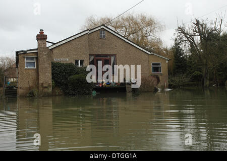 Thames Valley, UK. 17. Februar 2014. Überfluteten Häuser in Wraysbury nahe Staines. Hochwasser nach wie vor eine Woche nach den Überschwemmungen in der Themse-Tal hoch. Bildnachweis: Zute Lightfoot/Alamy Live-Nachrichten Stockfoto