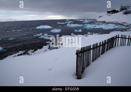 Eisberge treiben durch Grönland fjord Stockfoto