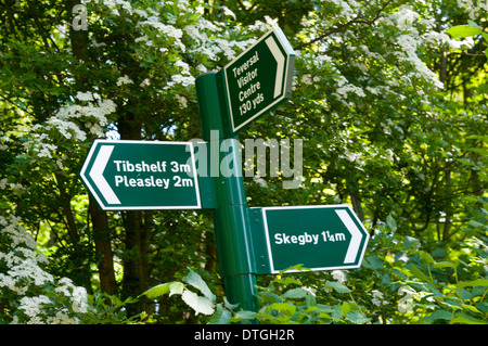 Richtungspfeile auf dem Teversal Trail, Sutton in Ashfield Nottinghamshire England UK Stockfoto