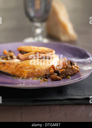 Poulard Huhn mit Morcheln und Kastanien Stockfoto