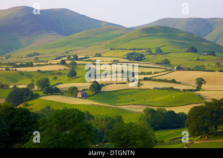 Pastorale Szene der Almen unter die Howgill fällt Yorkshire Dales National Park, Cumbria. Heuernte Stockfoto