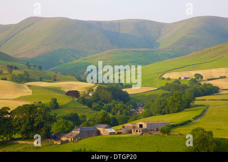 Pastorale Szene der Almen unter die Howgill fällt Yorkshire Dales National Park, Cumbria. Heuernte Stockfoto