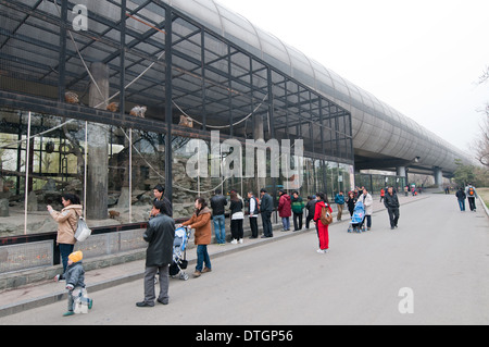 Käfige mit Tieren unter der Überführung-Straße in Beijing Zoo in Xicheng District, Beijing, China Stockfoto