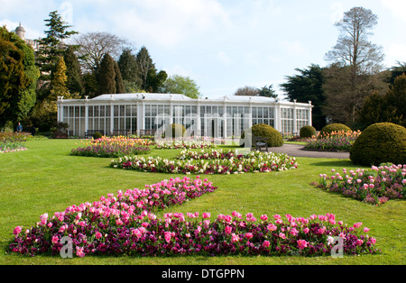 Die Kamelie-Haus und die Gärten in Wollaton Hall und Wildpark, Nottingham England UK Stockfoto