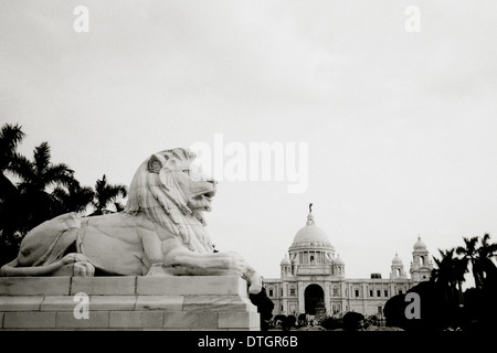 Victoria Denkmal in Kolkata Kalkutta in Westbengalen in Indien in Südasien. Geschichte historische Stadtbild in Palm Tree Kultur Landschaft Art Travel Stockfoto