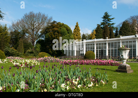 Die Kamelie-Haus und die Gärten in Wollaton Hall und Wildpark, Nottingham England UK Stockfoto