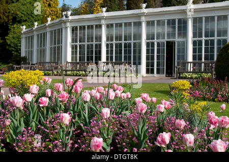 Die Kamelie-Haus und die Gärten in Wollaton Hall und Wildpark, Nottingham England UK Stockfoto