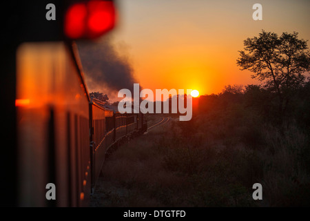 Sonnenuntergang in der Royal Livingstone Express Luxuszug. Die Dampflokomotive 156 ist eine 10. Klasse ursprünglich aus Sambia Stockfoto