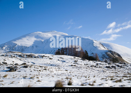 Die Corbett Ben Gulabin aus dem Westen, in der Nähe von Glenshee Schottland. Stockfoto