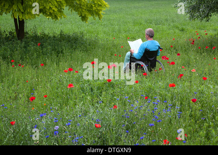 Älterer Mann liest in einem Rollstuhl auf einer Blumenwiese, Niedersachsen, Deutschland Stockfoto