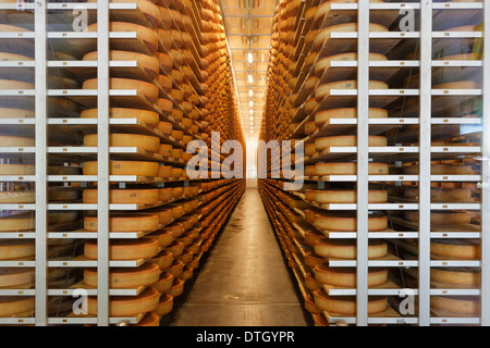 Bregenzerwälder Käsekeller Käsekeller für Alpkäse, Lingenau, Bregenzerwald, Vorarlberg, Österreich Stockfoto