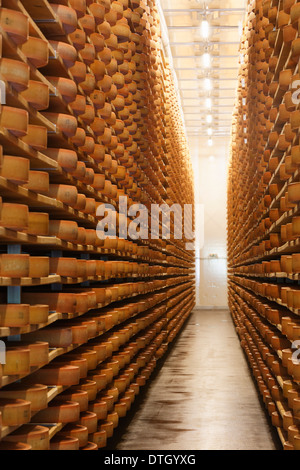 Bregenzerwälder Käsekeller Käsekeller für Alpkäse, Lingenau, Bregenzerwald, Vorarlberg, Österreich Stockfoto