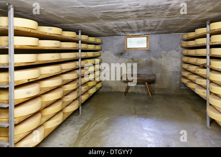 Reifung Keller für Almkäse, Alm, Alpe Obere Falz-Alm in der Nähe von Schetteregg, Egg, Bregenzerwald, Vorarlberg Stockfoto