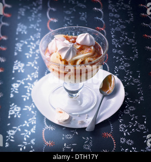 Ausdrückliche Vacherin Stockfoto