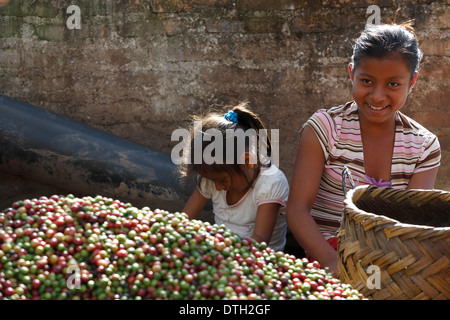 Junge Frau und Mädchen Sortierung frisch geernteten Kaffee Beeren, Nordwesten Nicaragua Stockfoto