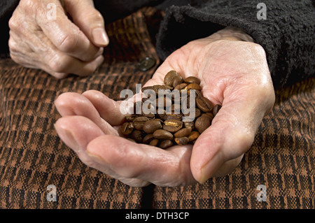 Frisch geröstete Kaffeebohnen in alter Hase. Stockfoto