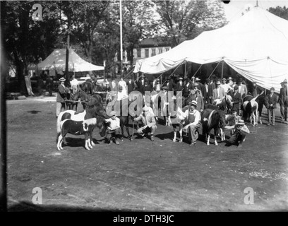 Dieses historische Foto aus der Zeit um 1912 zeigt Männer und Jungen mit Ponys auf der Oxford Street Fair. Das Bild bietet einen Einblick in das Stadtleben von Oxford, Ohio, mit Straßenszenen, die faire Aktivitäten und lokale Pferde zeigen und einen Schnappschuss aus der damaligen Vergangenheit der Gemeinde bieten. Stockfoto