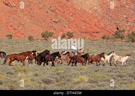 Navajo-Cowboy-Hüten Mustangs, native American, Monument Valley, Utah, USA Stockfoto