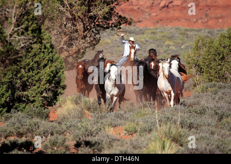 Navajo-Cowboy-Hüten Mustangs, native American, Monument Valley, Utah, USA Stockfoto